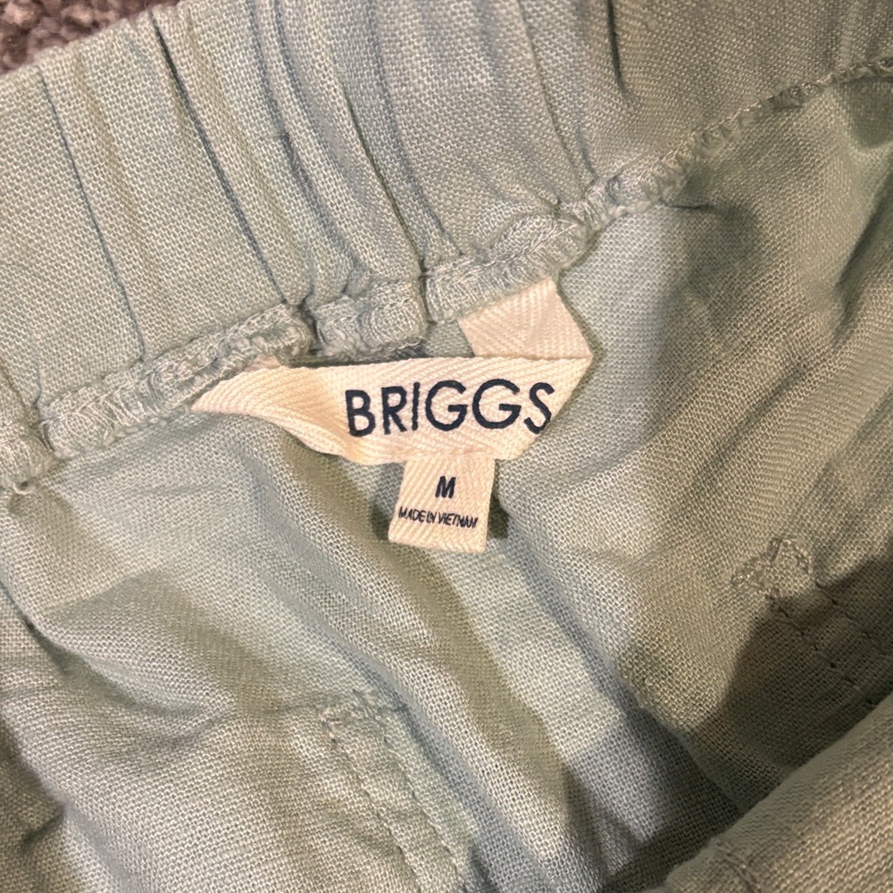 Briggs New York Light Green Flat Front drawstring with garter Shorts size medium - Picture 3 of 8